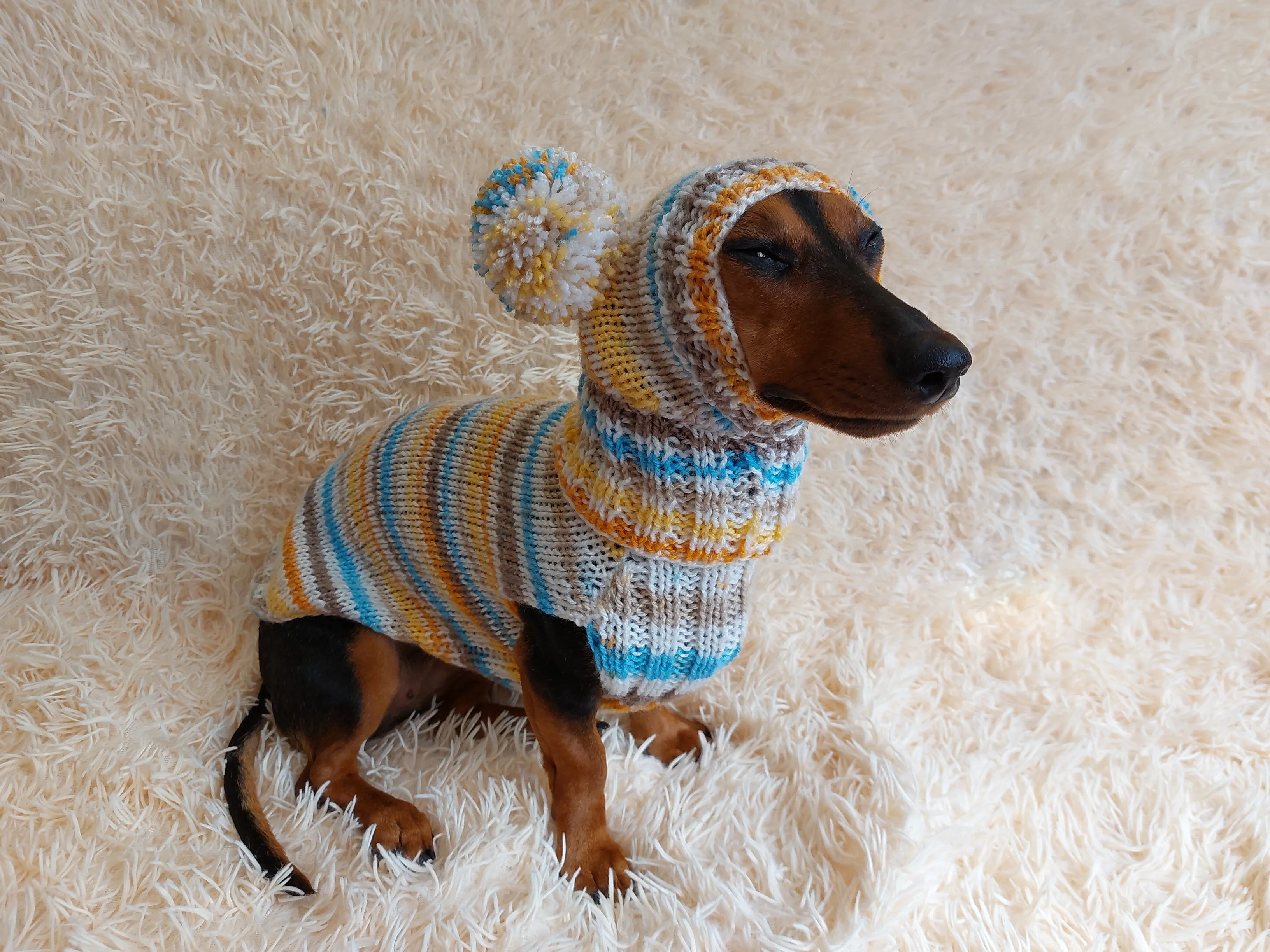 Lollipop suit for mini dachshund sweater and hat,suit set sweater and hat for dog,wiener sweater and hat, dog set sweater and hat set