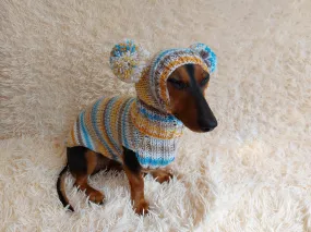 Lollipop suit for mini dachshund sweater and hat,suit set sweater and hat for dog,wiener sweater and hat, dog set sweater and hat set