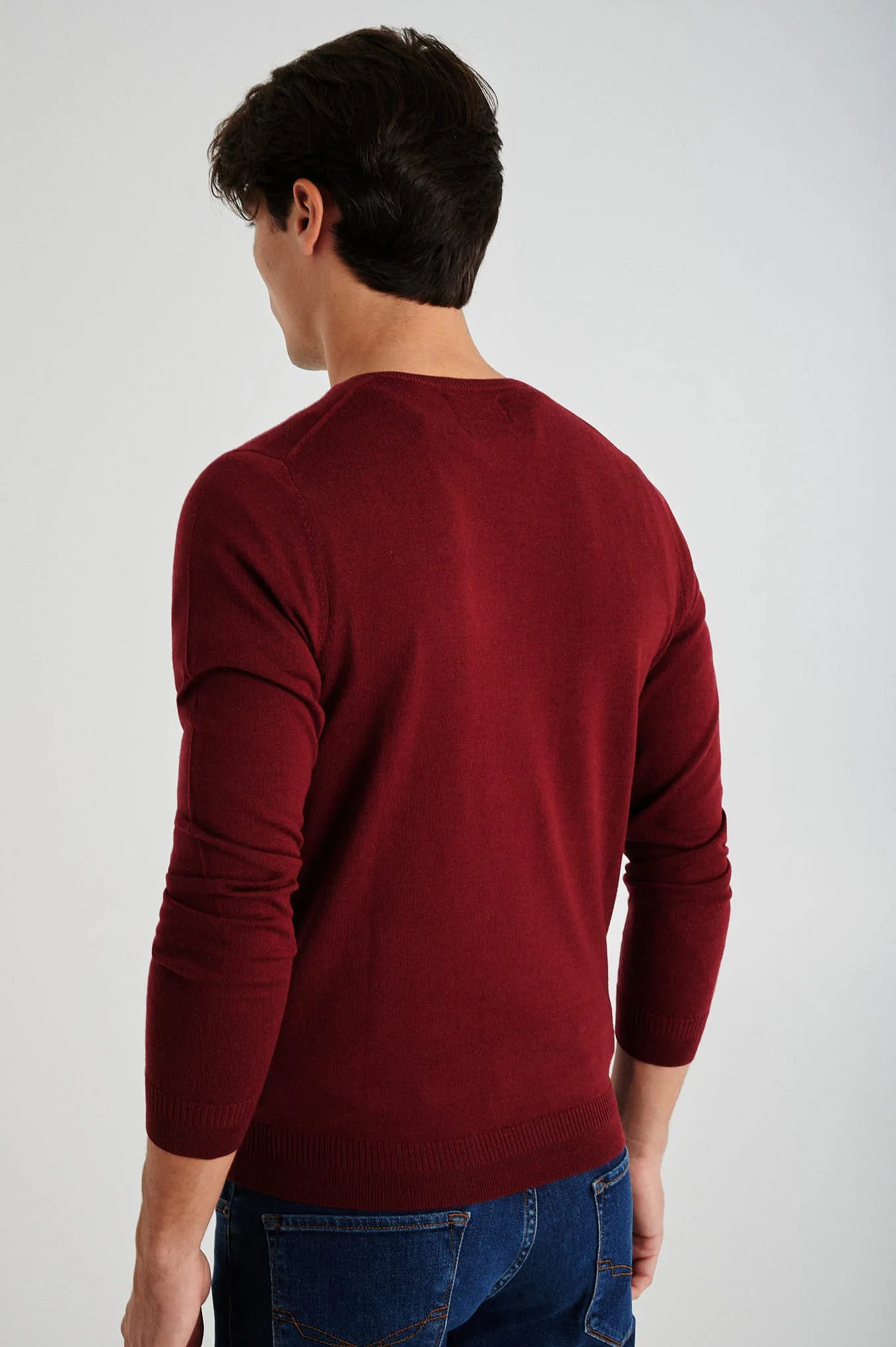 Men's extrafine merino wool V neck sweater