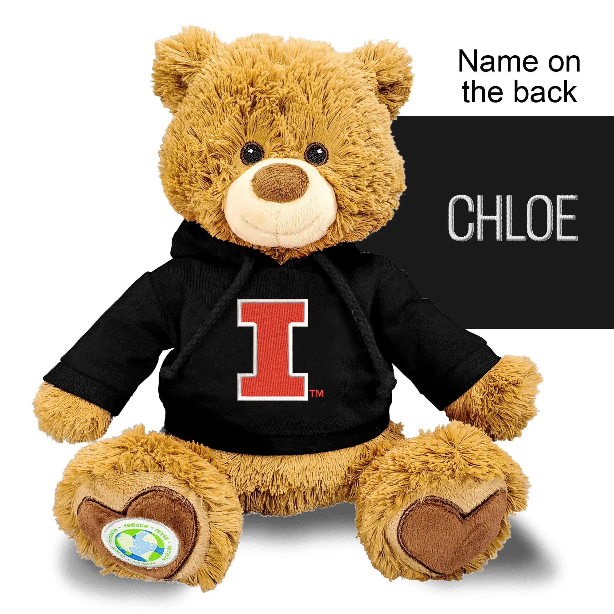 Personalized Illinois Fighting Illini 10" Plush Bear 2