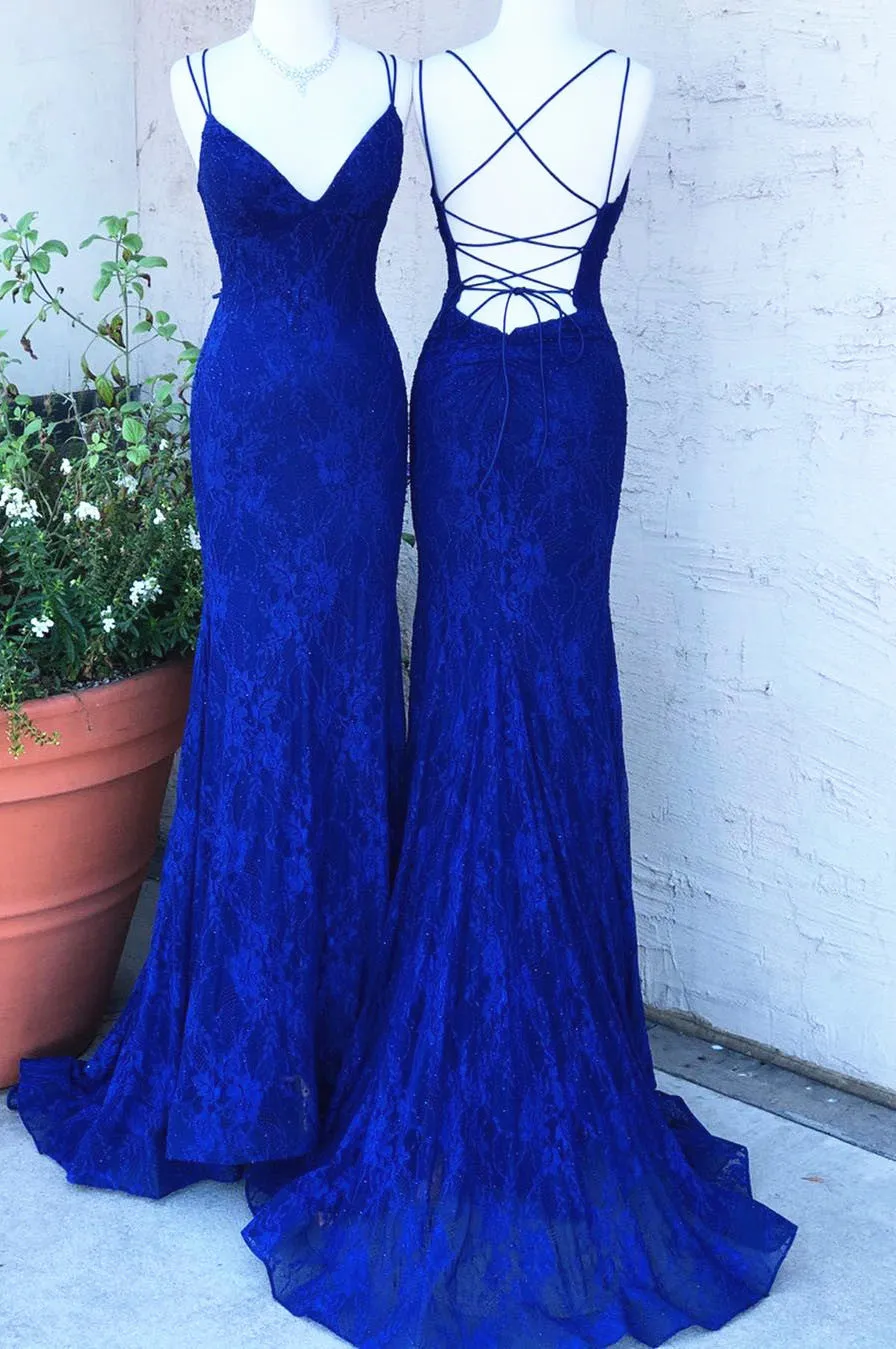 Royal Blue Prom Dress Lace Sheath Prom Dresses Long Open Back Evening Gowns